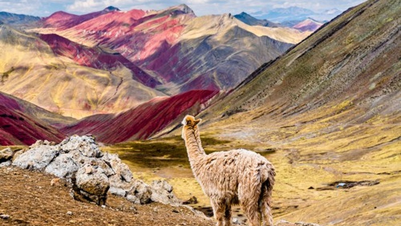 A Colorful Adventure in Peru's Palcoyo Rainbow Mountain
