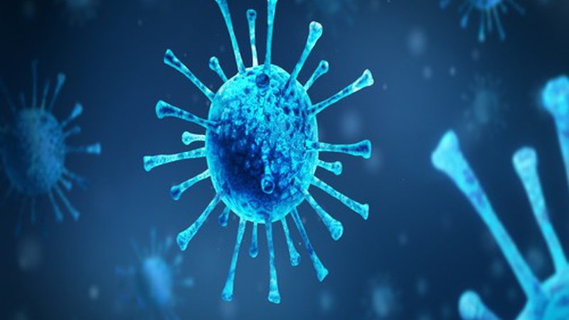 Coronavirus Update in Peru, June 30th, 2022