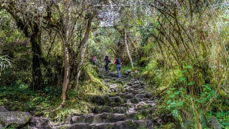 Inca Trail 2024