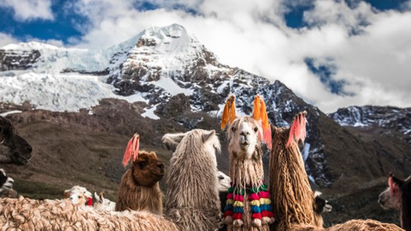 Peru's Top Trekking Options