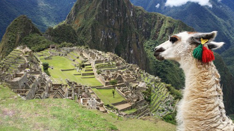 Trek Along The Inca Trail and Machu Picchu