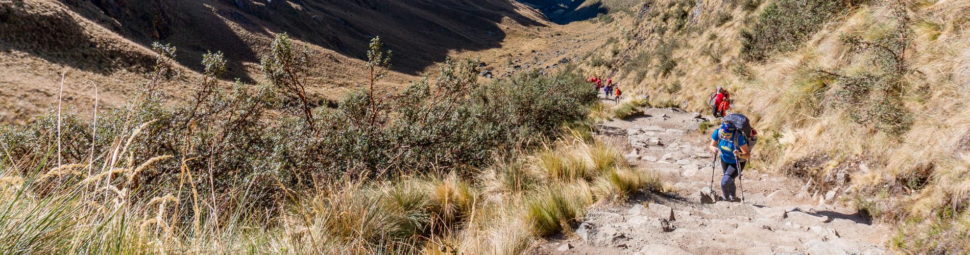 Inca Trail Essentials