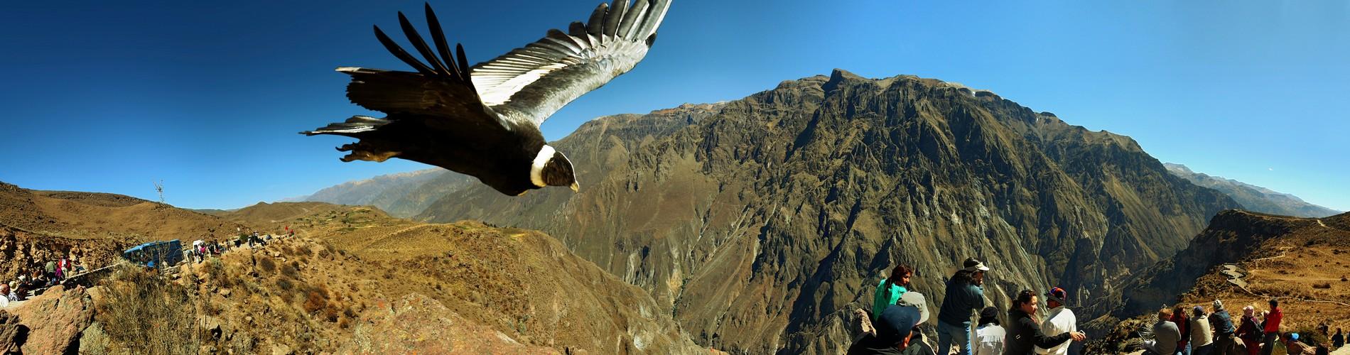 The Top Things to do in Chivay, Colca Canyon