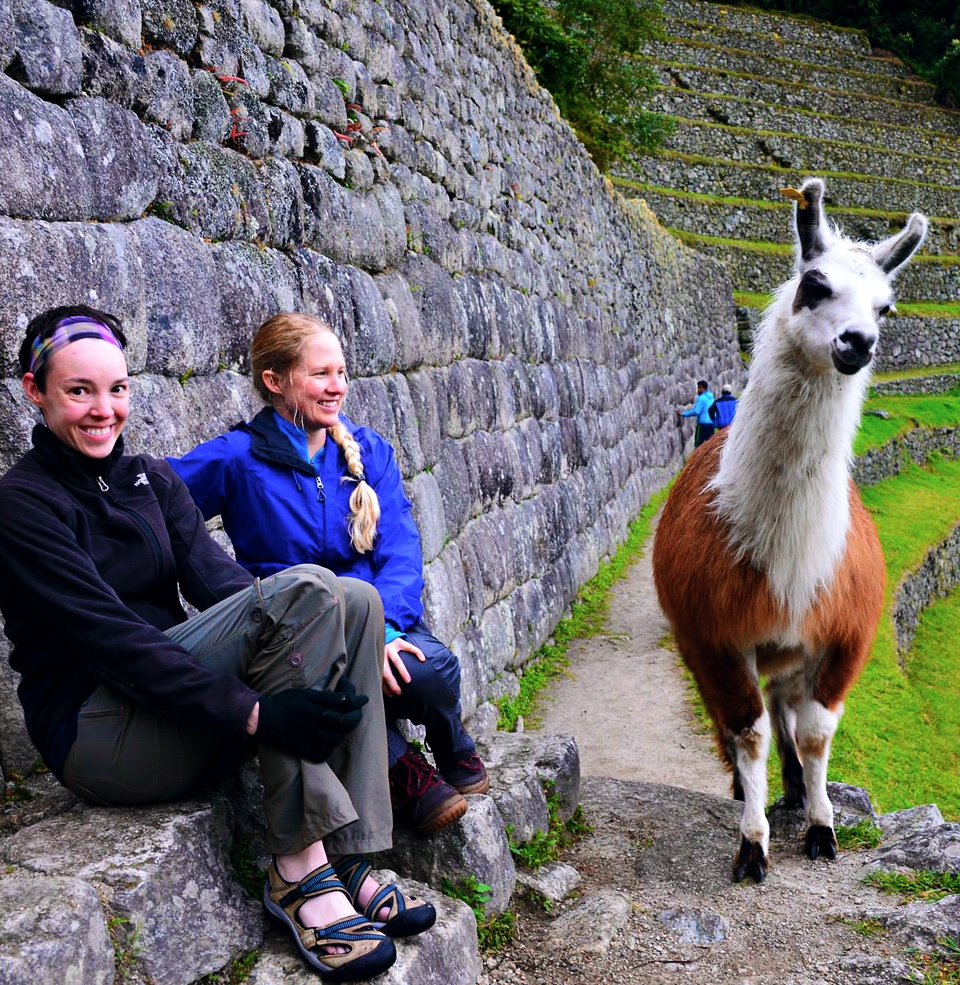 short-inca-trail-passengers-with-llama