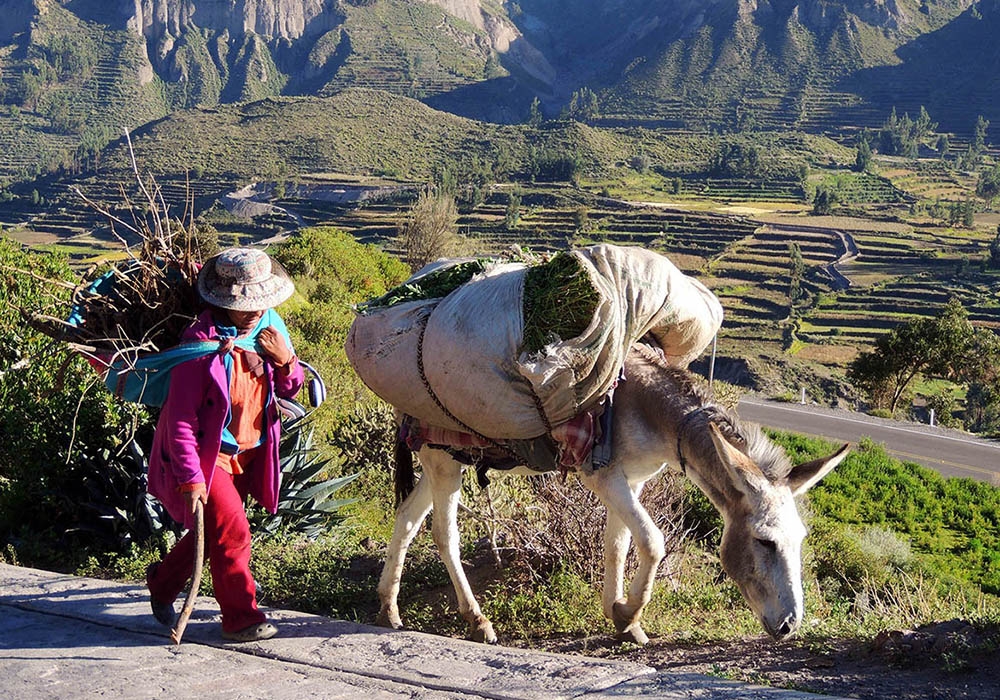 A picture leaving the Colca Valley