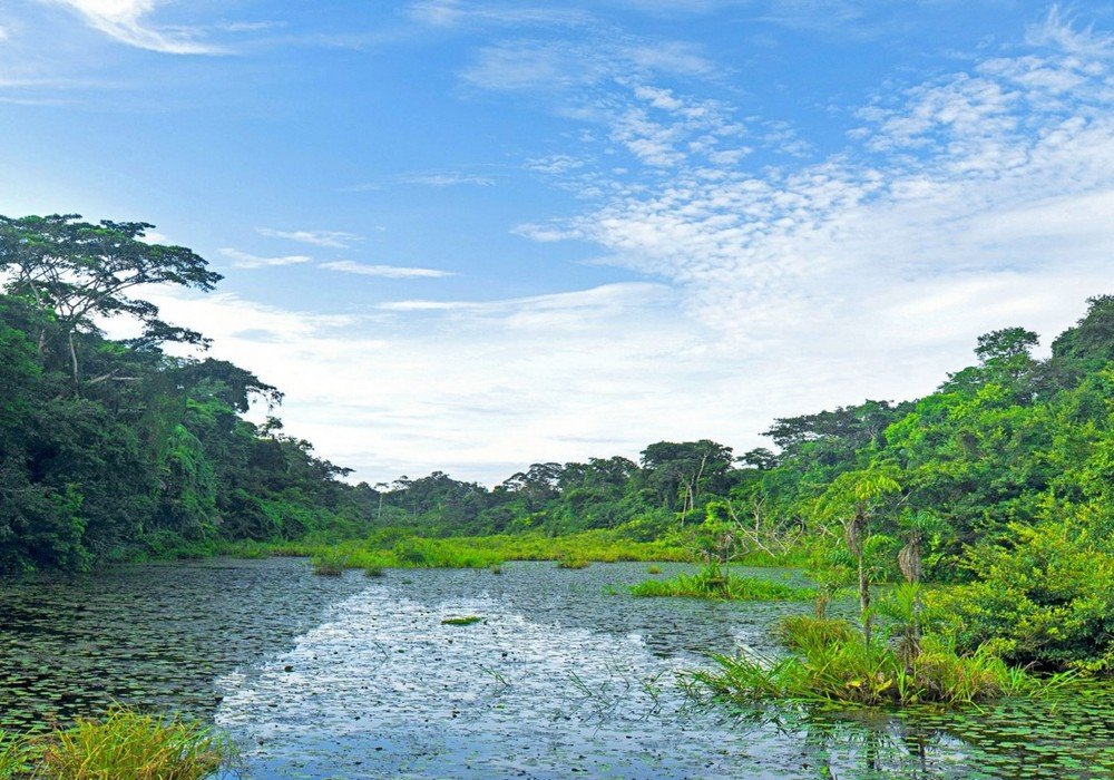 Gamitana River, Visit to Local Family and Botanical Garden