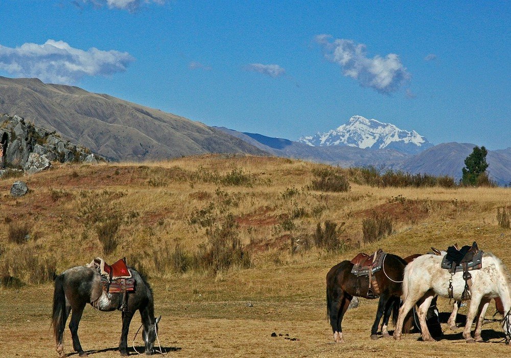 Horse Riding to Four Ruins in Cusco
