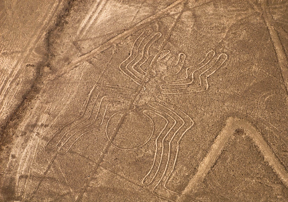 Nazca lines - Spider shape