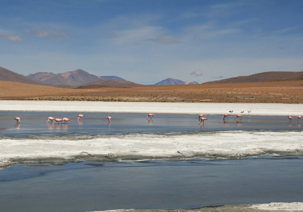 Salar de Uyuni and Atacama Desert