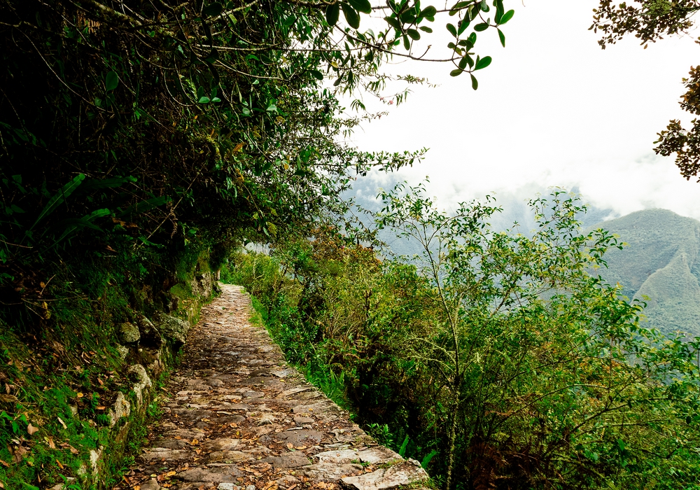 Salkantay & Inca Trail to Machu PicchuTrail to Machu Picchu