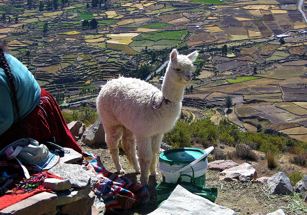 Some stops at the entrance of the Colca Canyon
