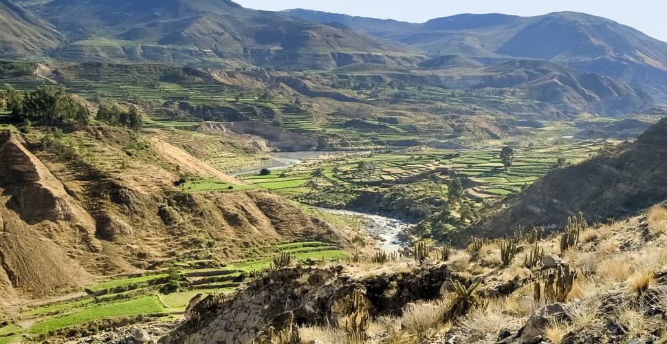 On an Arequipa to Colca Canyon excursion witness the Andean condor, the largest flying bird in the world. Colca Canyon is also famous for its natural hot springs, traditional villages, and adventure activities.