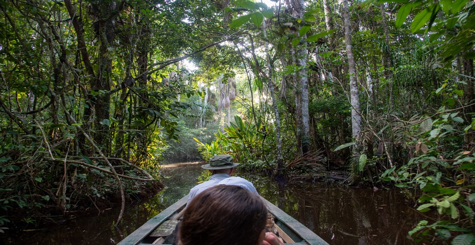 The Amazon Rainforest, often referred to as the "Lungs of the Earth," is the largest tropical rainforest in the world and a biodiverse paradise. An Iquitos river cruise in the Amazon is a bucket list item for many on  a Peru tour package.