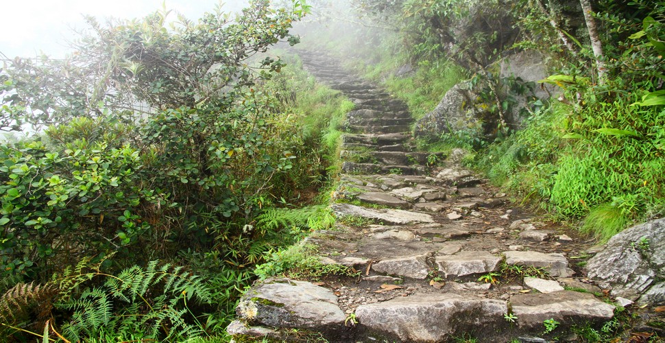 Parts of the Qhapaq Ñan are still used by local communities for transportation and trade. Others have been preserved as UNESCO World Heritage sites. These include parts of the trail leading to Machu Picchu, better known as  Inca Trail trips.