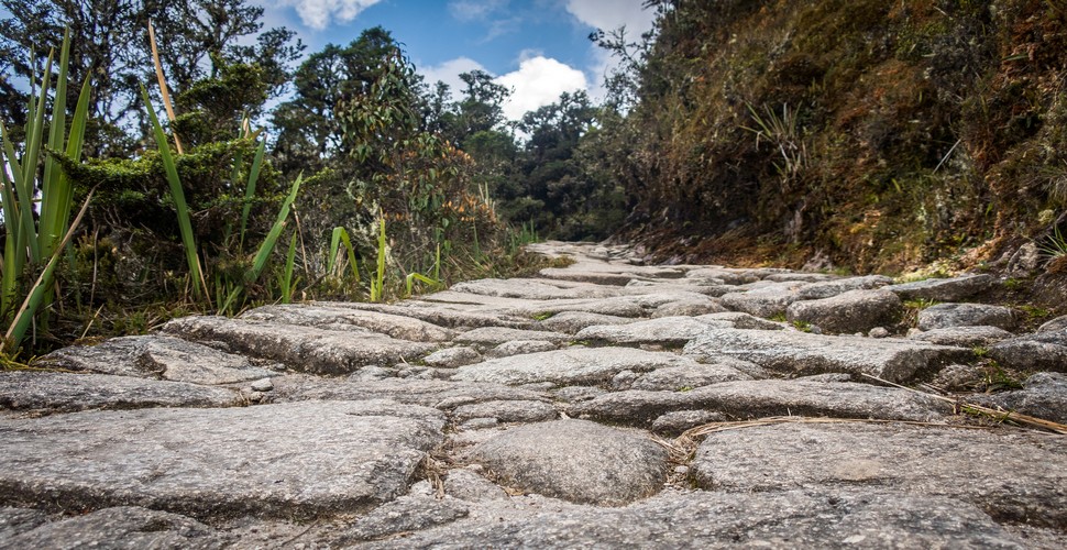 The Qhapaq Ñan, also known as the Inca Road System, was the extensive network of roads and trails that formed the backbone of the Inca Empire's communication and transportation system. The iconic Inca Trail to Machu Picchu was just one of these roads in an immense network.
