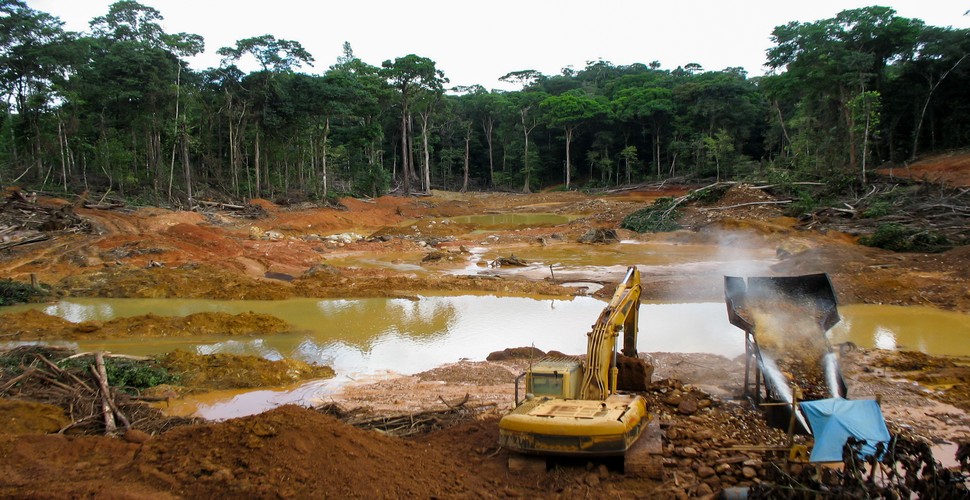 The issue of illegal gold mining in the Amazon is where gold mining clashes with environmental and social concerns. Explore how illegal miners, exploit the rich biodiversity, leading to deforestation, pollution, and social conflict. Learn why eco-lodges are the way forward for sustainable tourism on Iquitos tours.