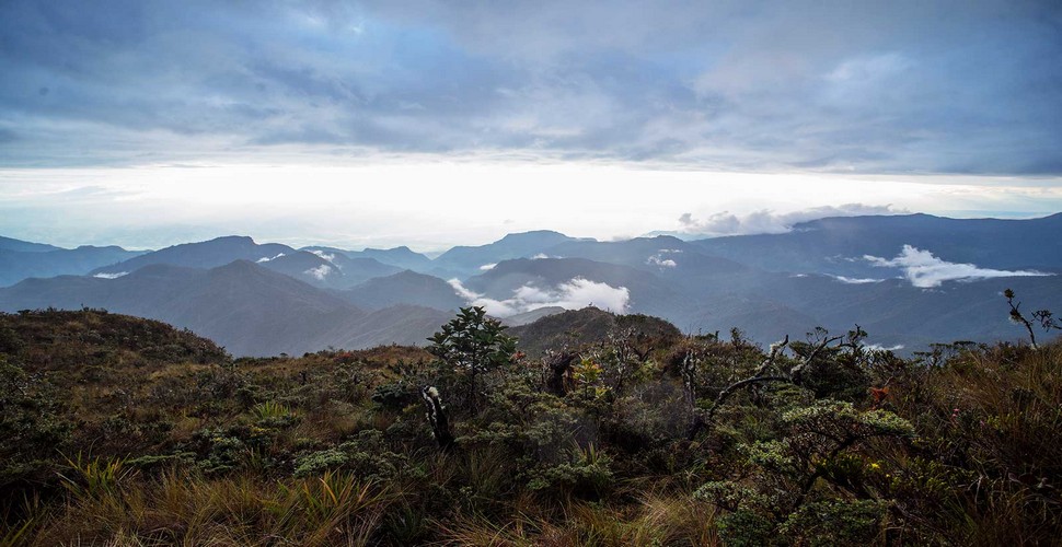 If you're looking for a remote destination for your Peru adventure vacation, the National Sanctuary de Cólan offers pristine nature and untouched terrain. Take a visit to "untouched Peru" for your Peru adventures!