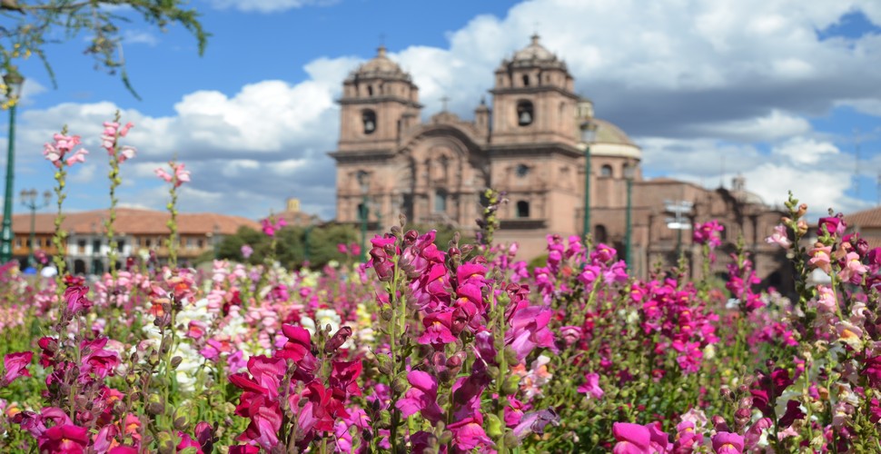 The Plaza de Armas in Cusco is known for its well-maintained gardens and beautiful flowers, which add to the charm of the square. On your Cusco tours, you will see a variety of plants and flowers that bloom throughout the year, creating a colorful and vibrant atmosphere.
