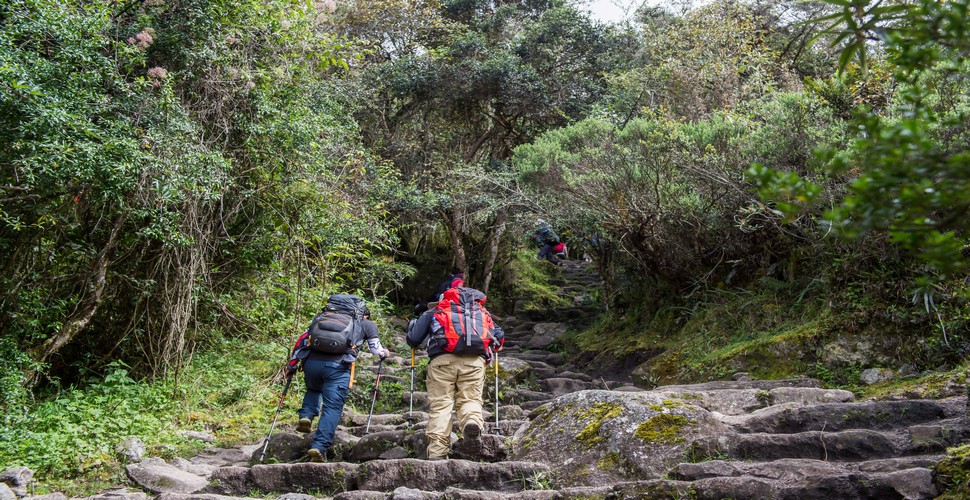 To hike the Inca Trail to Machu Pichu you need to booked with an authorized Peru travel agency, such as Valencia Travel. This ensures your safety, the preservation of the trail, and compliance with regulations set by the Peruvian government.