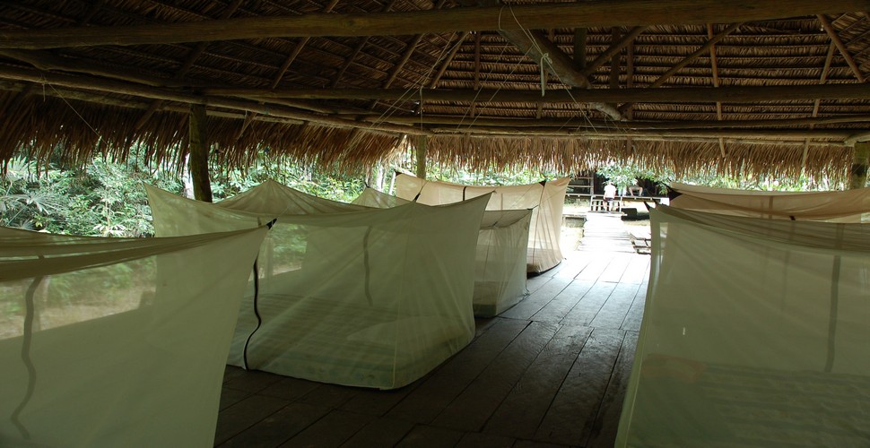 are screened or air-conditioned to keep mosquitoes out. Use mosquito nets while sleeping and remember that dengue-carrying mosquitos, generally bite during the day.