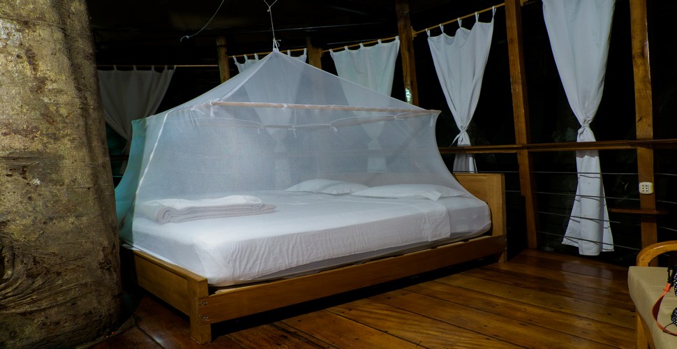  Mosquito nets are an important tool for preventing mosquito bites and the diseases they can transmit, such as malaria, dengue fever, and Zika virus. Stay in eco-lodges that provide mosquito nets on your Peru Amazon adventure.