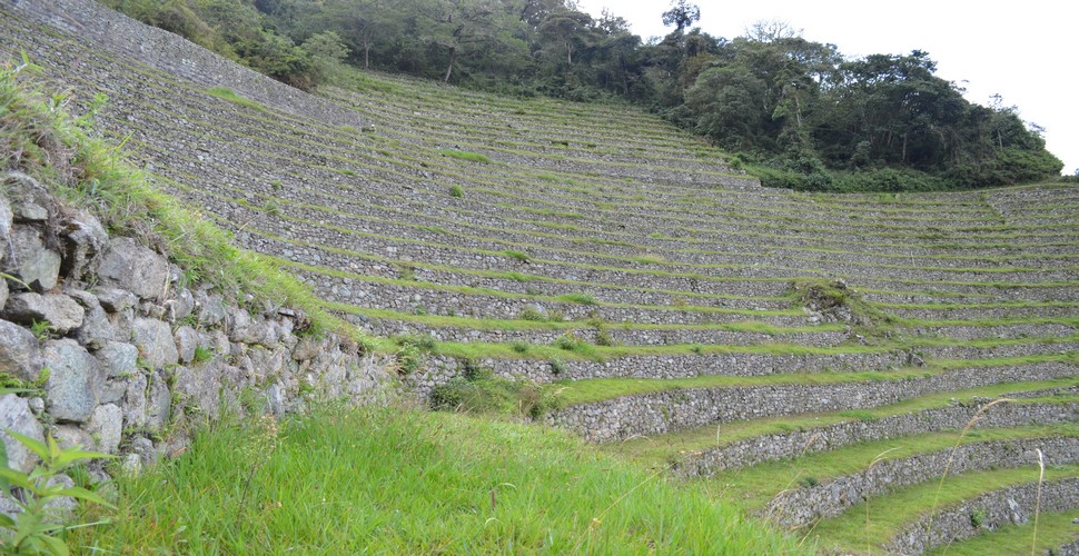 On the Machu Picchu Inca Trail trek, you will witness many amazing sights. One of which are the terraces at Machu Picchu.These terraces are an impressive feat of Inca engineering and agriculture, showcasing the ingenuity and skill of this ancient civilization.