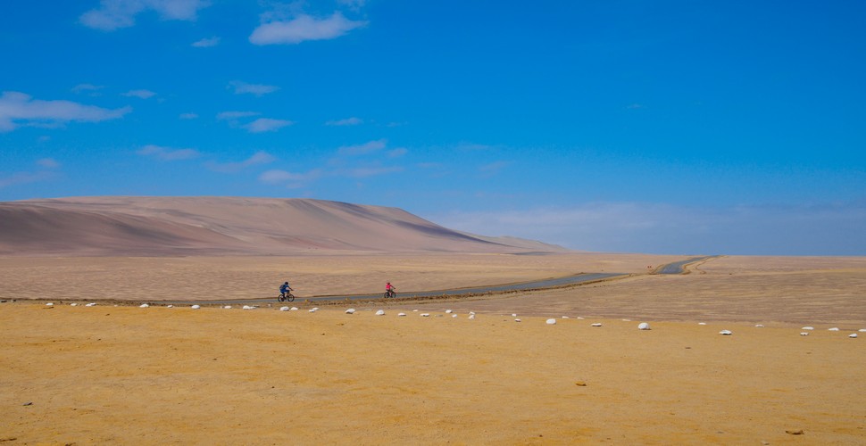 On a Huacachina day trip from lima, you can even do cycling trips as well as visit the immense sand dunes and the oasis!
