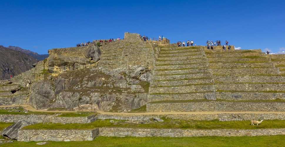 On your Peru family vacation, you can all marvel at the magnificent terraces of Machu Picchu. Machu Picchu features extensive agricultural terraces that were used for farming crops such as maize, potatoes, and quinoa. 